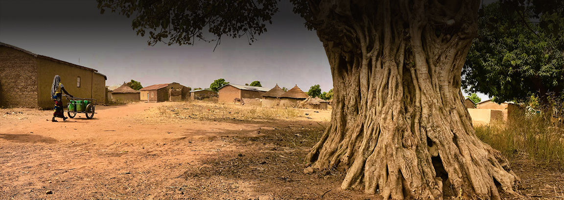 West African village with large tree in foreground